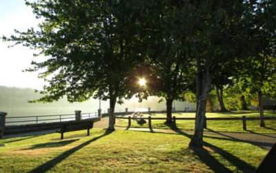 Back to School: Why We Love Our Morning Strolls
