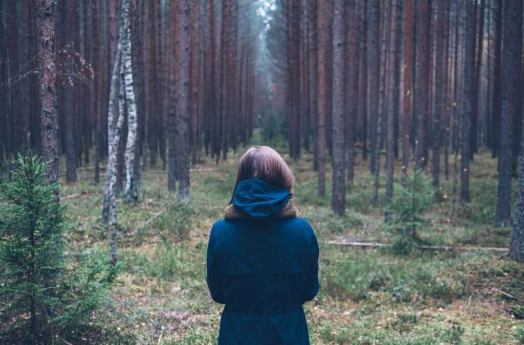 Person standing in a dense forest.